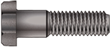 Hex Machine Bolts